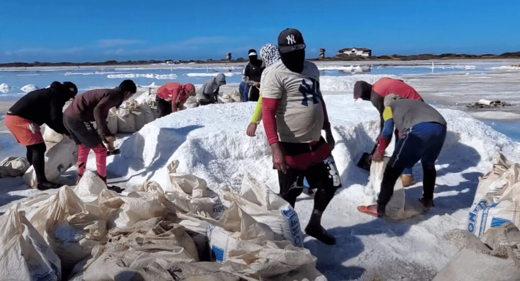 Produccion de sal en venezuela